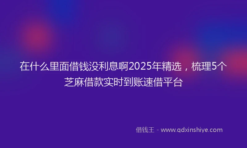 在什么里面借钱没利息啊2025年精选，梳理5个芝麻借款实时到账速借平台