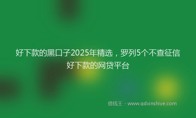 好下款的黑口子2025年精选，罗列5个不查征信好下款的网贷平台