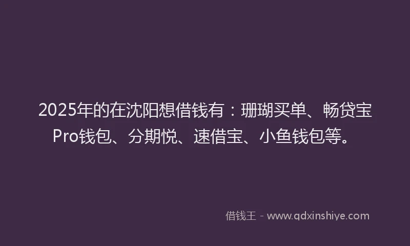 2025年的在沈阳想借钱有：珊瑚买单、畅贷宝Pro钱包、分期悦、速借宝、小鱼钱包等。