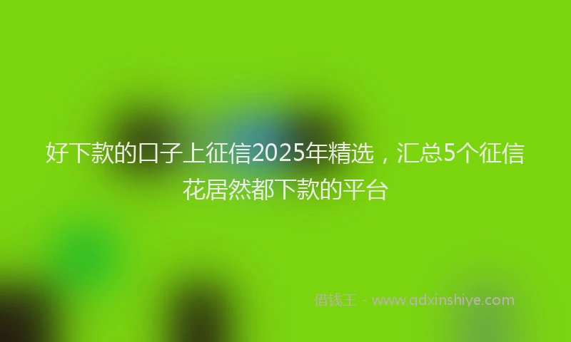 好下款的口子上征信2025年精选，汇总5个征信花居然都下款的平台