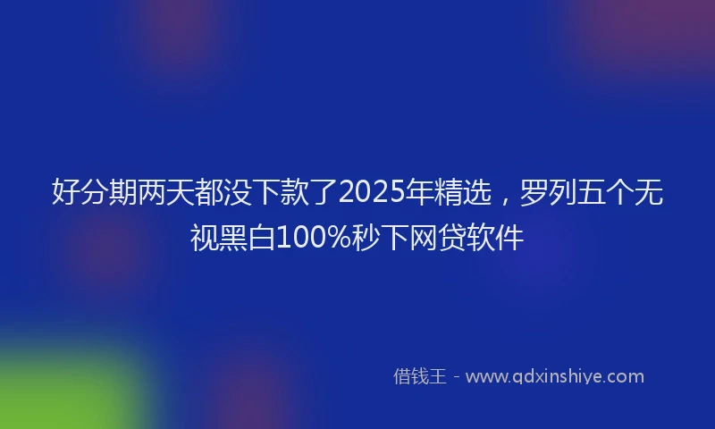 好分期两天都没下款了2025年精选，罗列五个无视黑白100%秒下网贷软件
