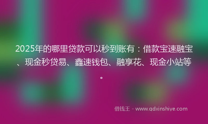 2025年的哪里贷款可以秒到账有：借款宝速融宝、现金秒贷易、鑫速钱包、融享花、现金小站等。