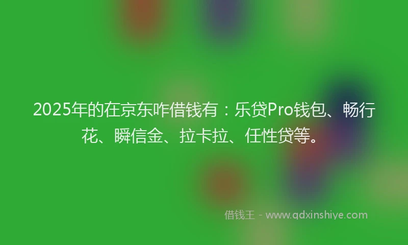 2025年的在京东咋借钱有：乐贷Pro钱包、畅行花、瞬信金、拉卡拉、任性贷等。