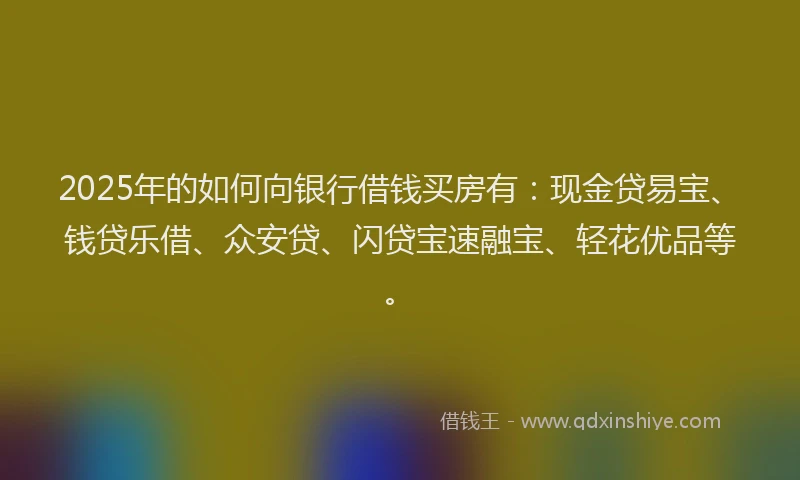2025年的如何向银行借钱买房有：现金贷易宝、钱贷乐借、众安贷、闪贷宝速融宝、轻花优品等。