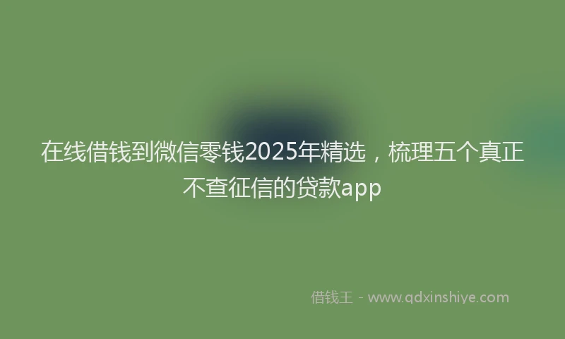 在线借钱到微信零钱2025年精选，梳理五个真正不查征信的贷款app