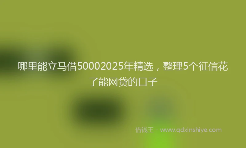 哪里能立马借50002025年精选，整理5个征信花了能网贷的口子
