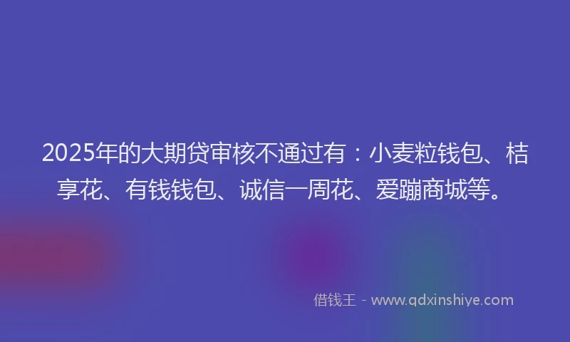 2025年的大期贷审核不通过有：小麦粒钱包、桔享花、有钱钱包、诚信一周花、爱蹦商城等。