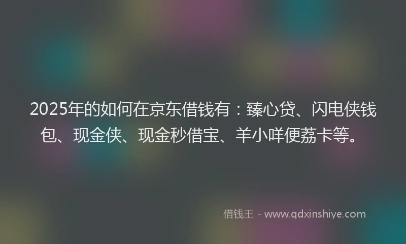 2025年的如何在京东借钱有：臻心贷、闪电侠钱包、现金侠、现金秒借宝、羊小咩便荔卡等。