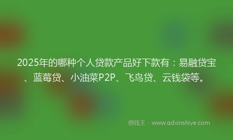 2025年的哪种个人贷款产品好下款有：易融贷宝、蓝莓贷、小油菜P2P、飞鸟贷、云钱袋等。