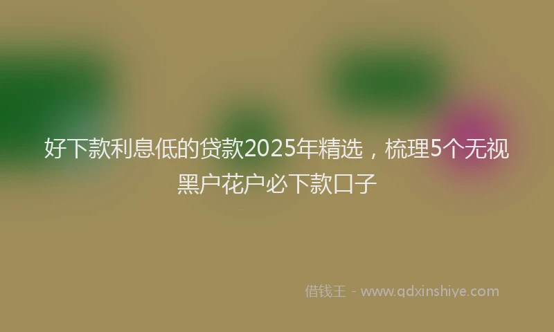 好下款利息低的贷款2025年精选，梳理5个无视黑户花户必下款口子