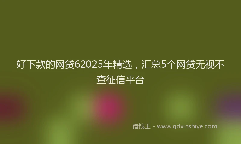 好下款的网贷62025年精选，汇总5个网贷无视不查征信平台