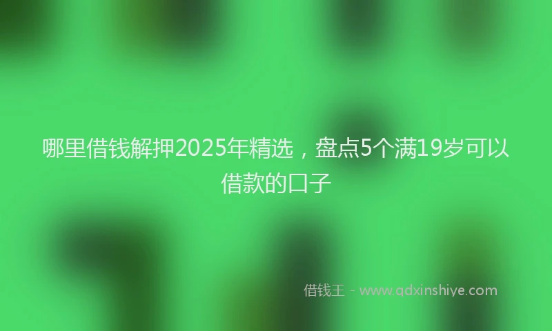 哪里借钱解押2025年精选，盘点5个满19岁可以借款的口子