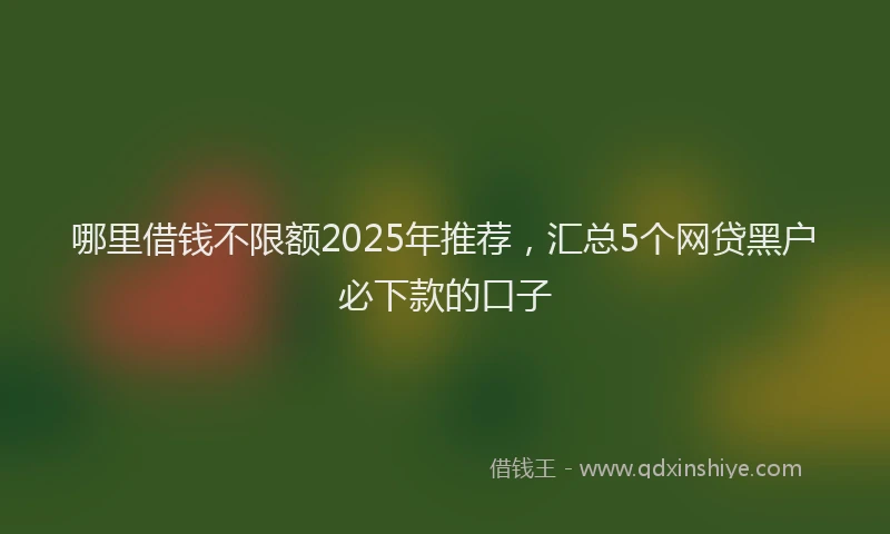 哪里借钱不限额2025年推荐，汇总5个网贷黑户必下款的口子