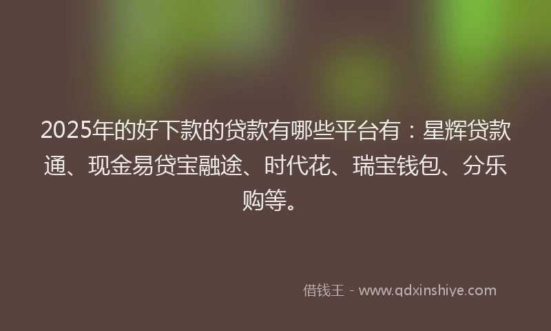 2025年的好下款的贷款有哪些平台有：星辉贷款通、现金易贷宝融途、时代花、瑞宝钱包、分乐购等。