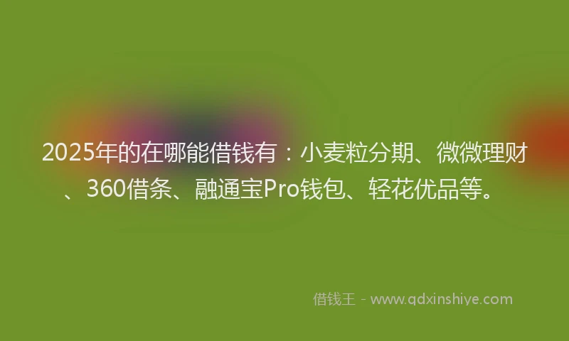 2025年的在哪能借钱有：小麦粒分期、微微理财、360借条、融通宝Pro钱包、轻花优品等。