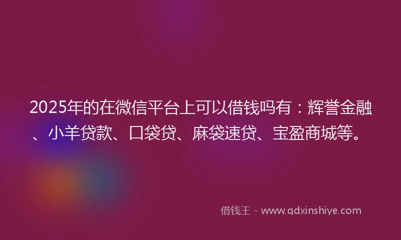 2025年的在微信平台上可以借钱吗有：辉誉金融、小羊贷款、口袋贷、麻袋速贷、宝盈商城等。
