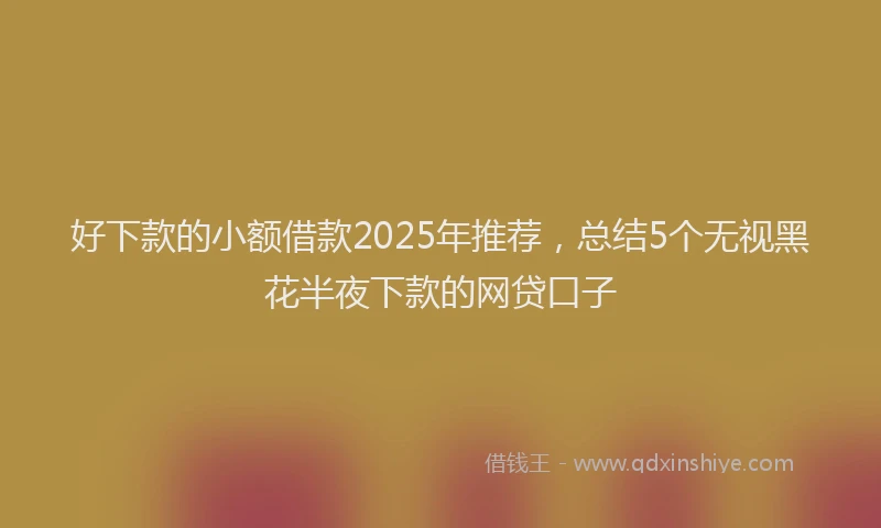 好下款的小额借款2025年推荐，总结5个无视黑花半夜下款的网贷口子