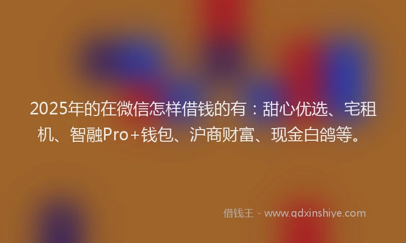 2025年的在微信怎样借钱的有：甜心优选、宅租机、智融Pro+钱包、沪商财富、现金白鸽等。