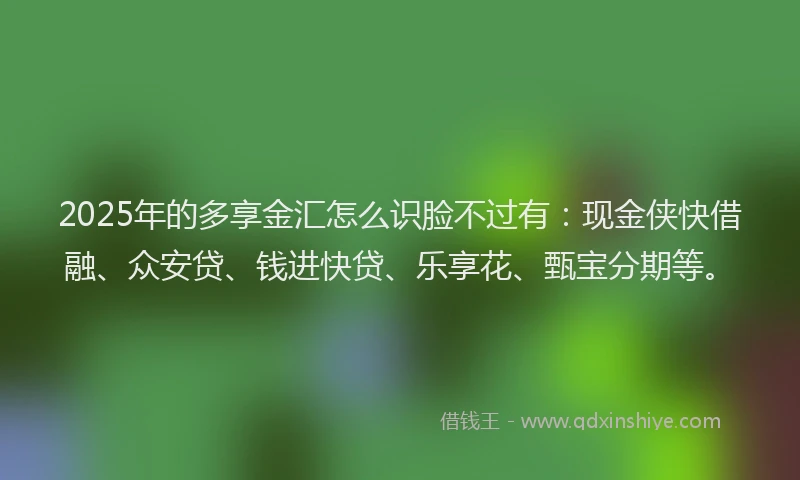 2025年的多享金汇怎么识脸不过有：现金侠快借融、众安贷、钱进快贷、乐享花、甄宝分期等。
