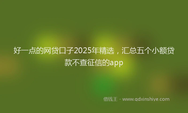 好一点的网贷口子2025年精选，汇总五个小额贷款不查征信的app