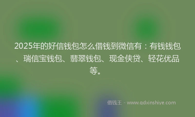 2025年的好信钱包怎么借钱到微信有：有钱钱包、瑞信宝钱包、翡翠钱包、现金侠贷、轻花优品等。