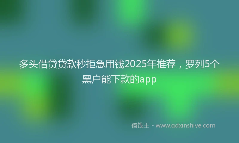 多头借贷贷款秒拒急用钱2025年推荐，罗列5个黑户能下款的app