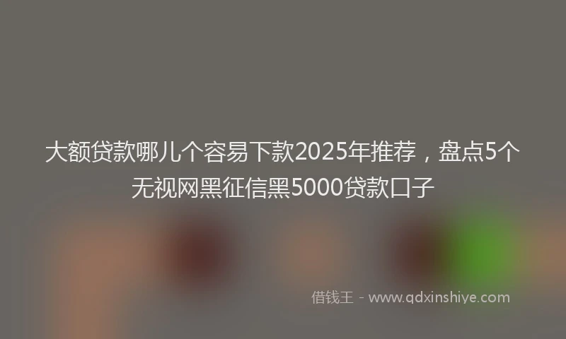 大额贷款哪儿个容易下款2025年推荐，盘点5个无视网黑征信黑5000贷款口子