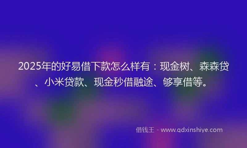 2025年的好易借下款怎么样有：现金树、森森贷、小米贷款、现金秒借融途、够享借等。