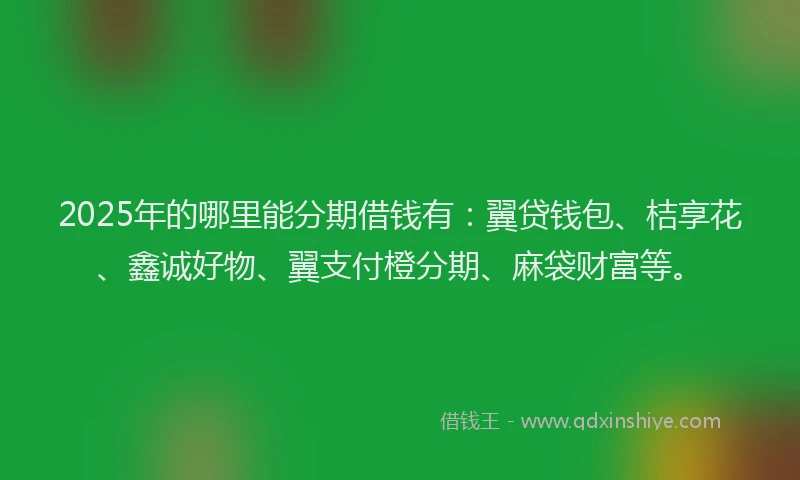 2025年的哪里能分期借钱有：翼贷钱包、桔享花、鑫诚好物、翼支付橙分期、麻袋财富等。
