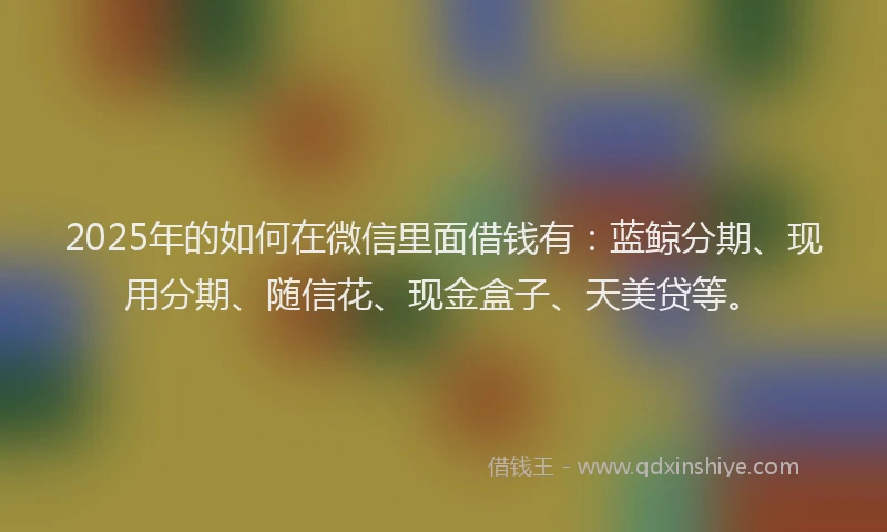 2025年的如何在微信里面借钱有：蓝鲸分期、现用分期、随信花、现金盒子、天美贷等。