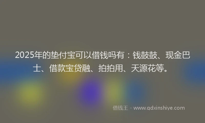 2025年的垫付宝可以借钱吗有：钱鼓鼓、现金巴士、借款宝贷融、拍拍用、天源花等。