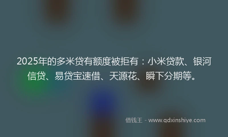 2025年的多米贷有额度被拒有：小米贷款、银河信贷、易贷宝速借、天源花、瞬下分期等。