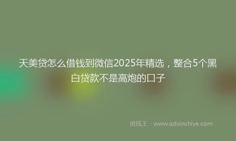 天美贷怎么借钱到微信2025年精选，整合5个黑白贷款不是高炮的口子