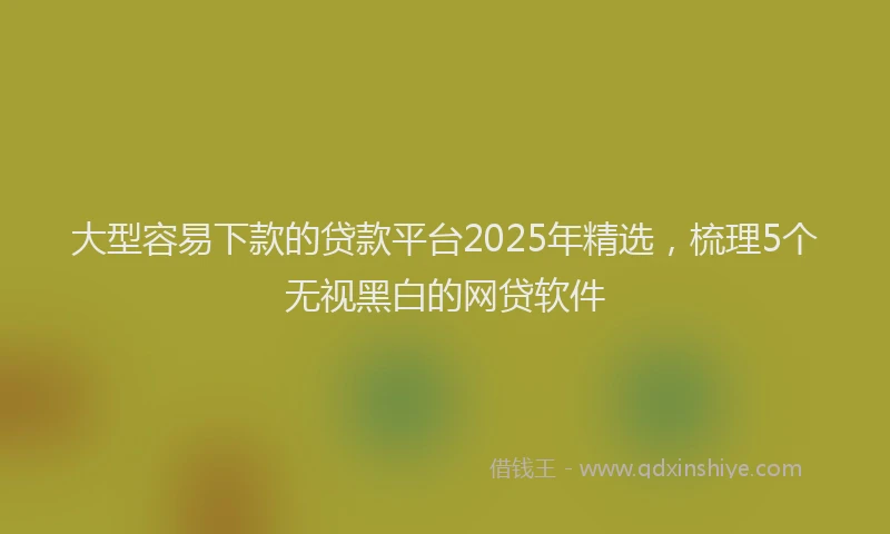 大型容易下款的贷款平台2025年精选，梳理5个无视黑白的网贷软件