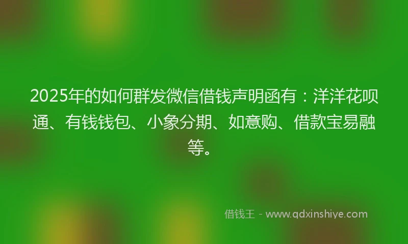 2025年的如何群发微信借钱声明函有：洋洋花呗通、有钱钱包、小象分期、如意购、借款宝易融等。