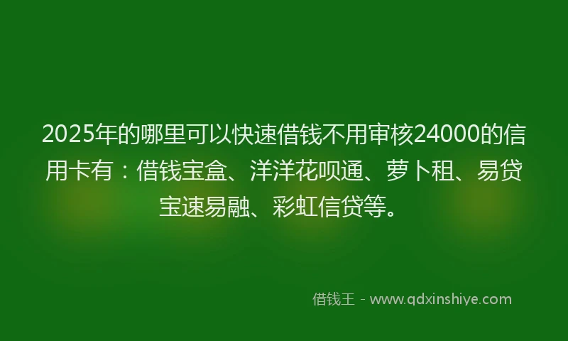 2025年的哪里可以快速借钱不用审核24000的信用卡有：借钱宝盒、洋洋花呗通、萝卜租、易贷宝速易融、彩虹信贷等。