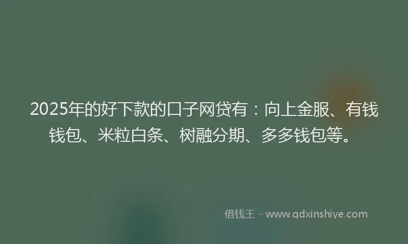 2025年的好下款的口子网贷有：向上金服、有钱钱包、米粒白条、树融分期、多多钱包等。