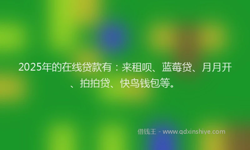 2025年的在线贷款有：来租呗、蓝莓贷、月月开、拍拍贷、快鸟钱包等。