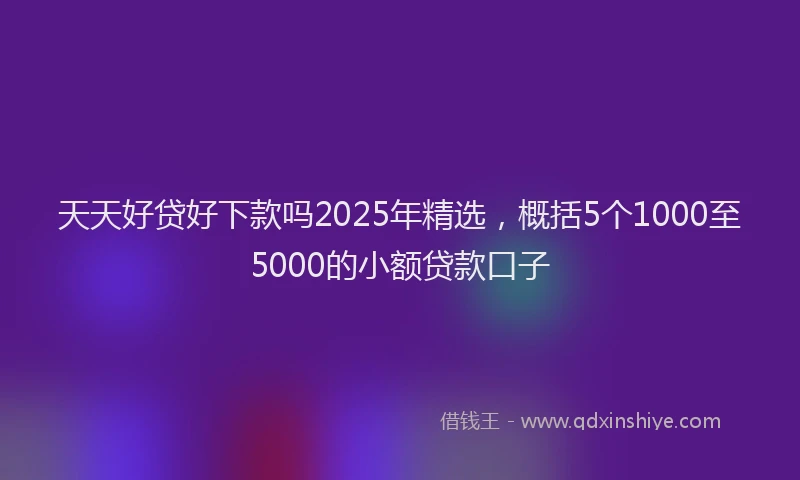 天天好贷好下款吗2025年精选，概括5个1000至5000的小额贷款口子