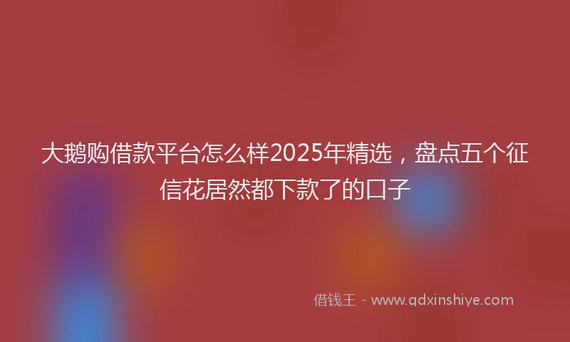 大鹅购借款平台怎么样2025年精选，盘点五个征信花居然都下款了的口子