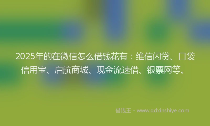 2025年的在微信怎么借钱花有：维信闪贷、口袋信用宝、启航商城、现金流速借、银票网等。