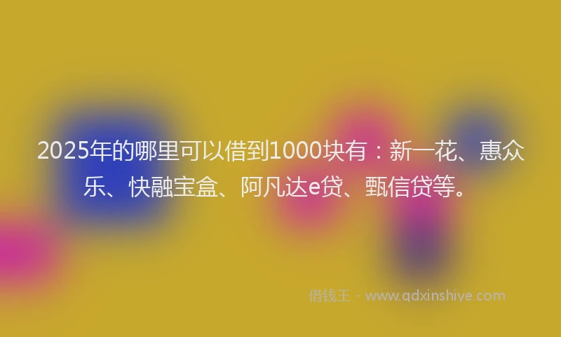2025年的哪里可以借到1000块有：新一花、惠众乐、快融宝盒、阿凡达e贷、甄信贷等。