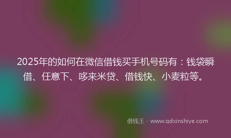 2025年的如何在微信借钱买手机号码有：钱袋瞬借、任意下、哆来米贷、借钱快、小麦粒等。