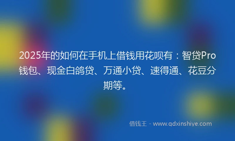 2025年的如何在手机上借钱用花呗有：智贷Pro钱包、现金白鸽贷、万通小贷、速得通、花豆分期等。