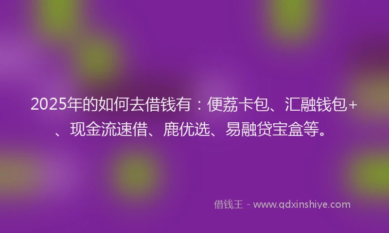 2025年的如何去借钱有：便荔卡包、汇融钱包+、现金流速借、鹿优选、易融贷宝盒等。