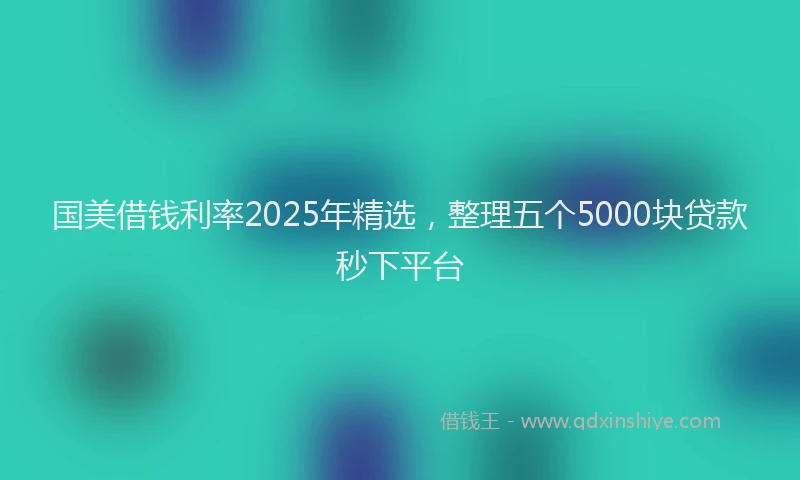 国美借钱利率2025年精选，整理五个5000块贷款秒下平台
