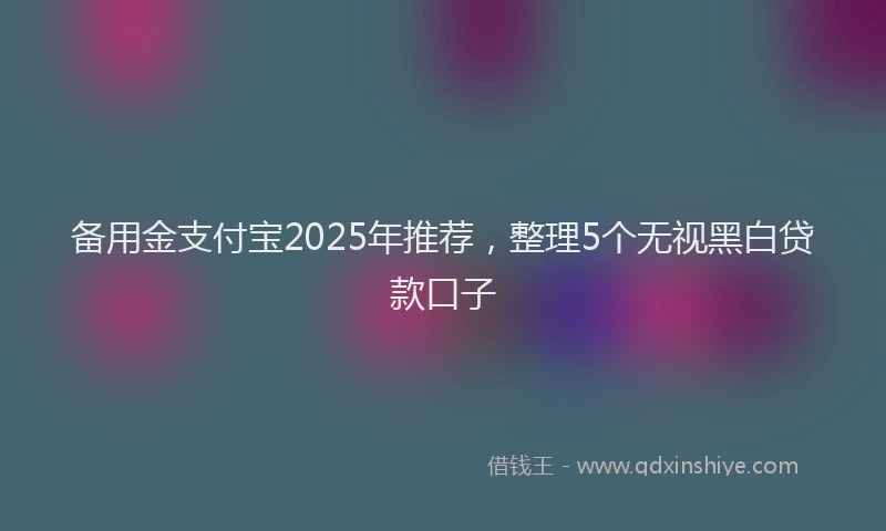 备用金支付宝2025年推荐，整理5个无视黑白贷款口子