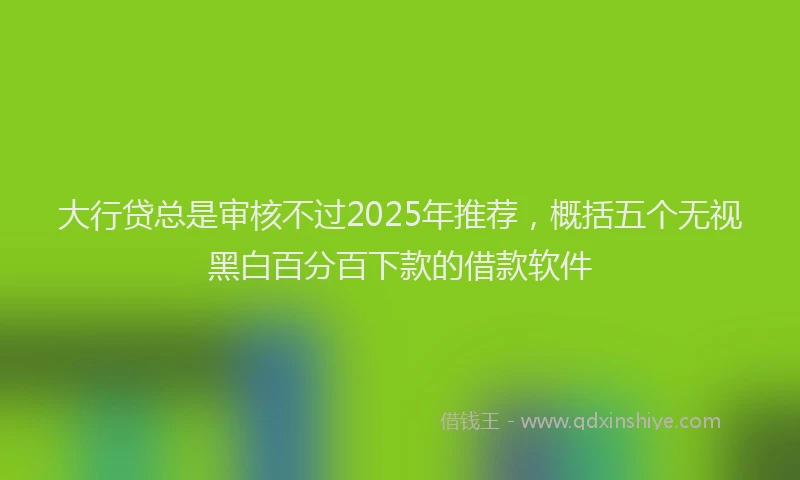 大行贷总是审核不过2025年推荐，概括五个无视黑白百分百下款的借款软件