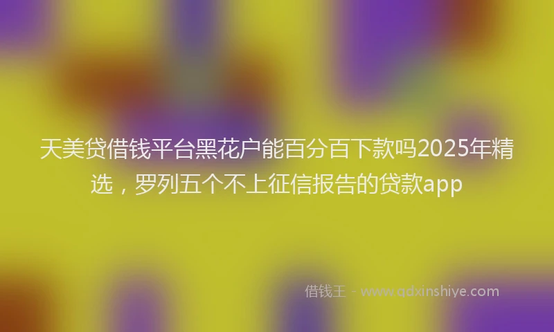 天美贷借钱平台黑花户能百分百下款吗2025年精选，罗列五个不上征信报告的贷款app