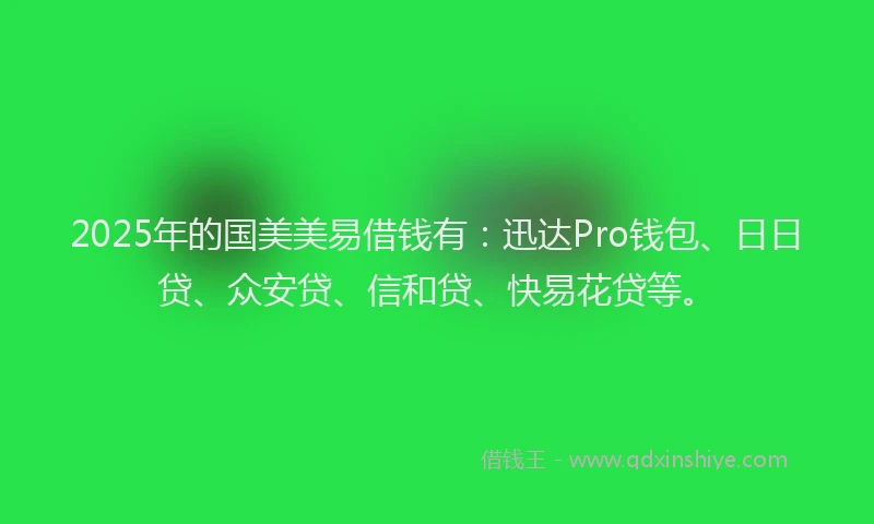2025年的国美美易借钱有：迅达Pro钱包、日日贷、众安贷、信和贷、快易花贷等。